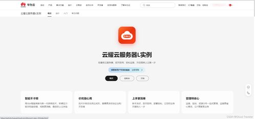 華為云云耀云服務器L實例深度評測 了解配置與管理，體驗‘秒快’云魅力